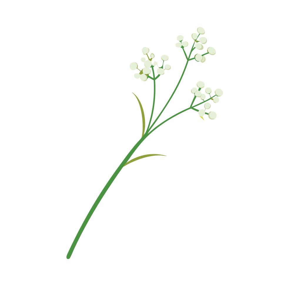 Beautiful Flower Minimalist Floral Illustration vector