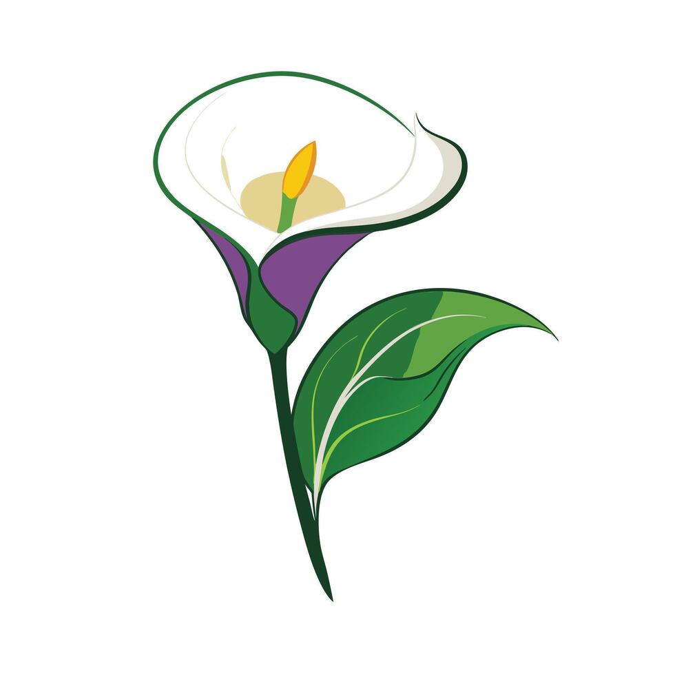 Beautiful Flower Minimalist Floral Illustration vector