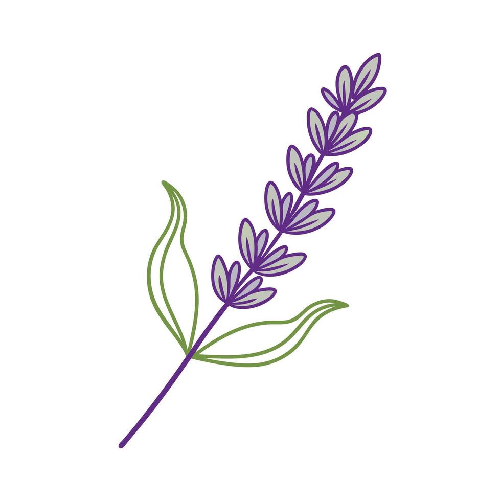 Beautiful Flower Minimalist Floral Illustration vector