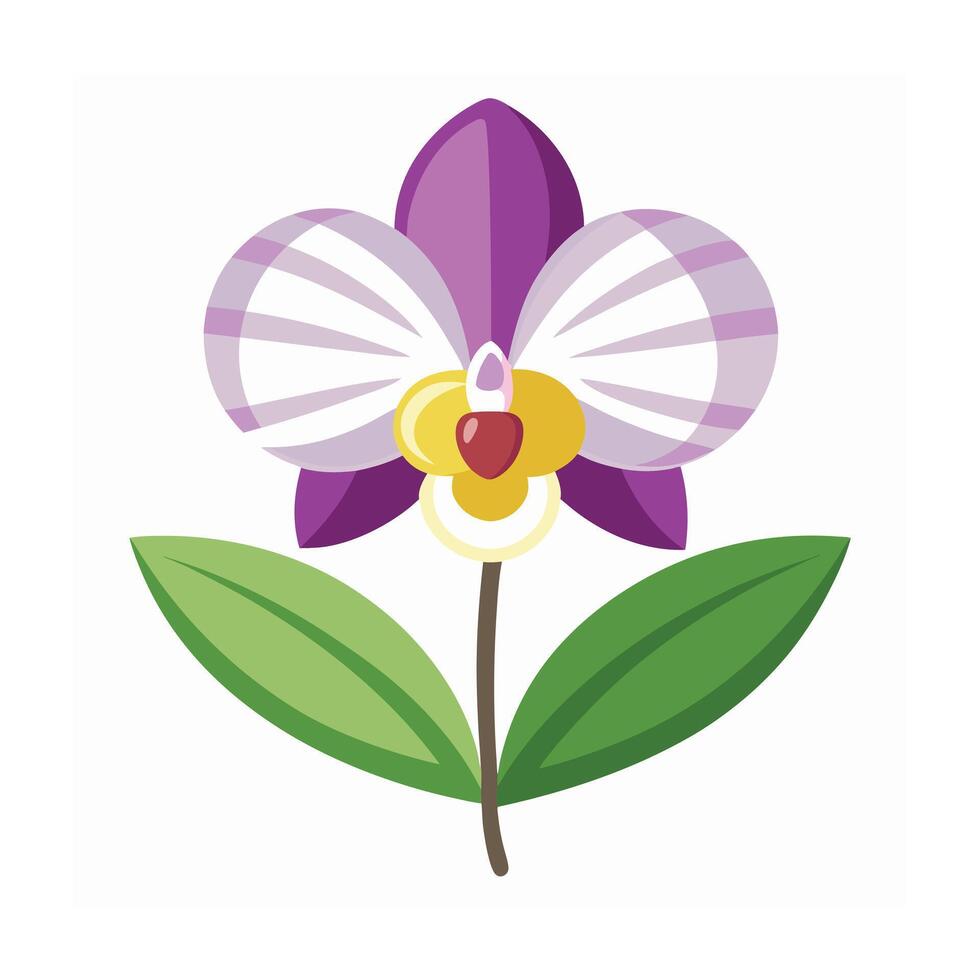 Beautiful Flower Minimalist Floral Illustration vector