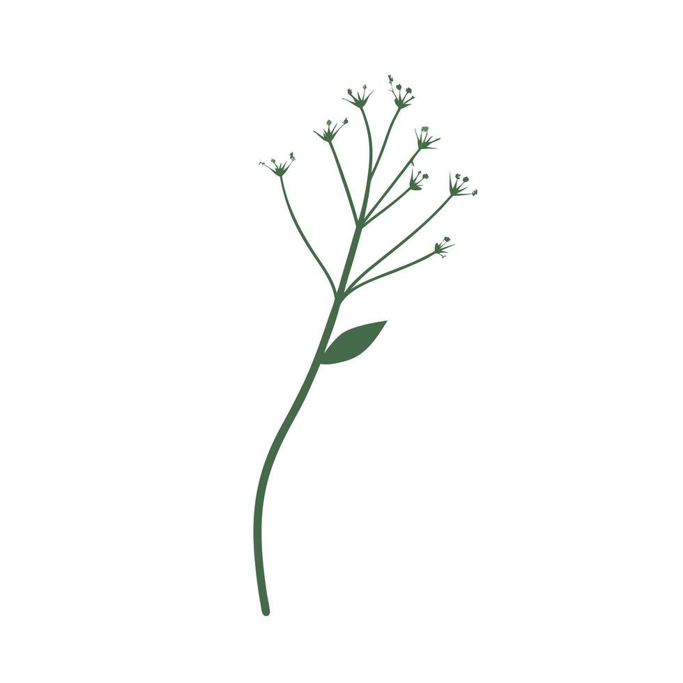 Beautiful Flower Minimalist Floral Illustration vector