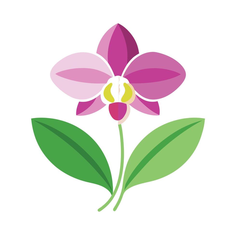 Beautiful Flower Minimalist Floral Illustration vector