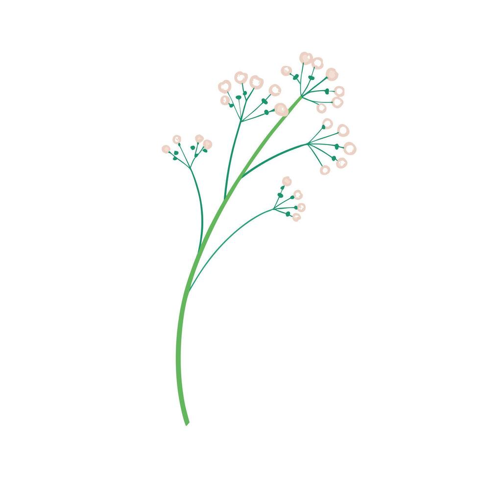 Beautiful Flower Minimalist Floral Illustration vector