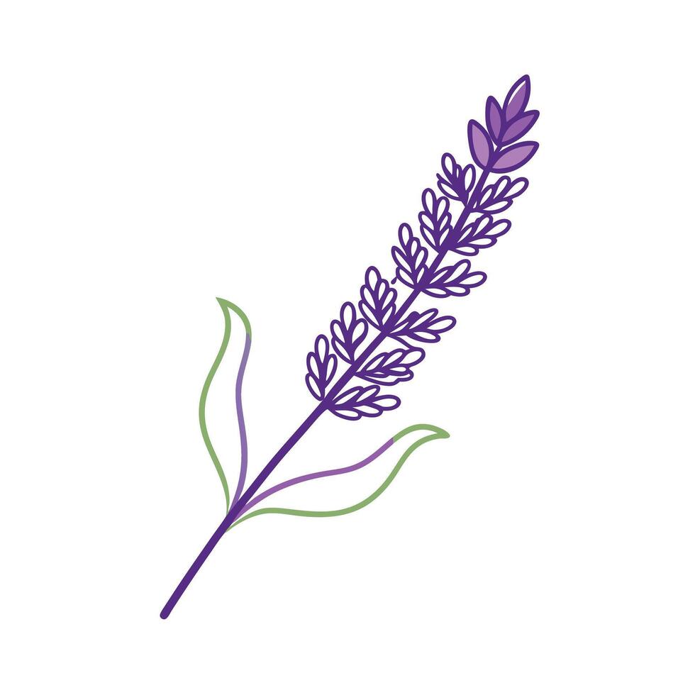 Beautiful Flower Minimalist Floral Illustration vector