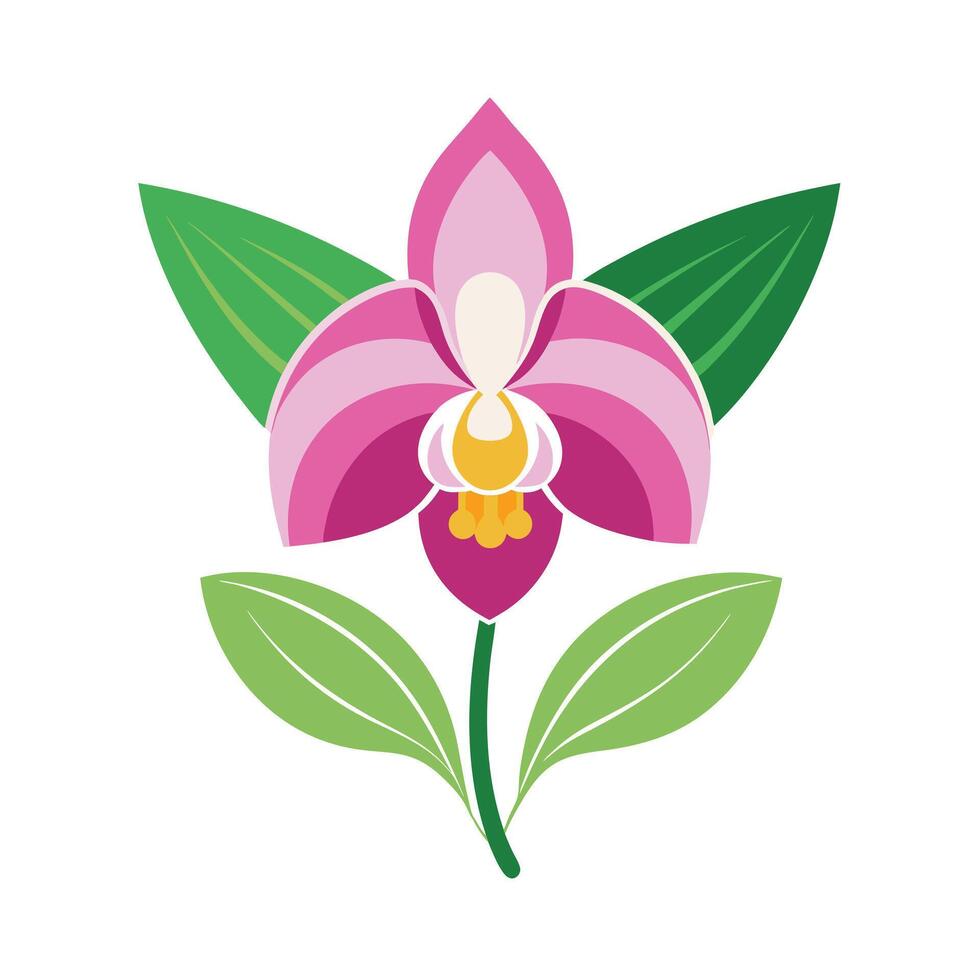 Beautiful Flower Minimalist Floral Illustration vector