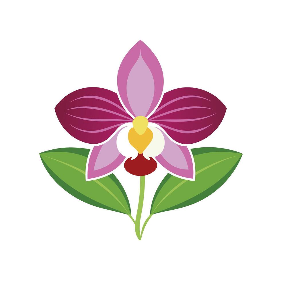 Beautiful Flower Minimalist Floral Illustration vector