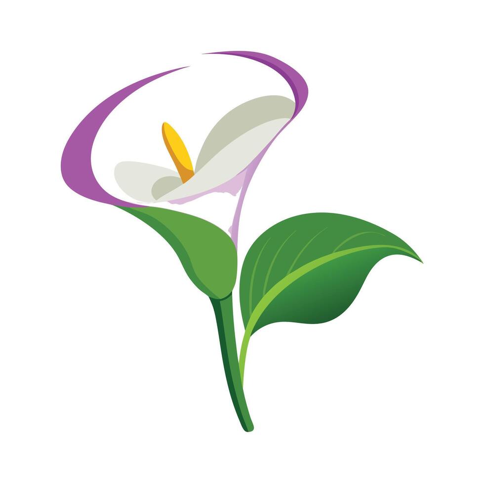 Beautiful Flower Minimalist Floral Illustration vector