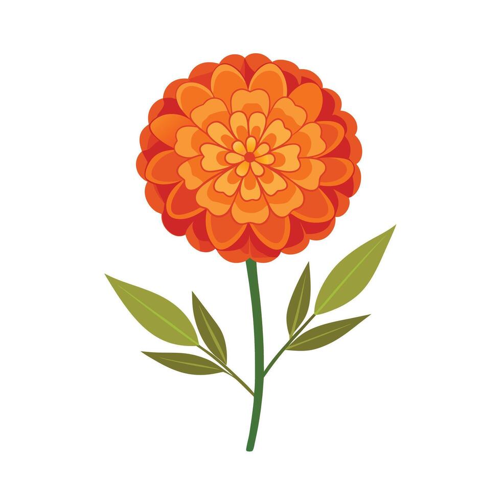 Beautiful Flower Minimalist Floral Illustration vector