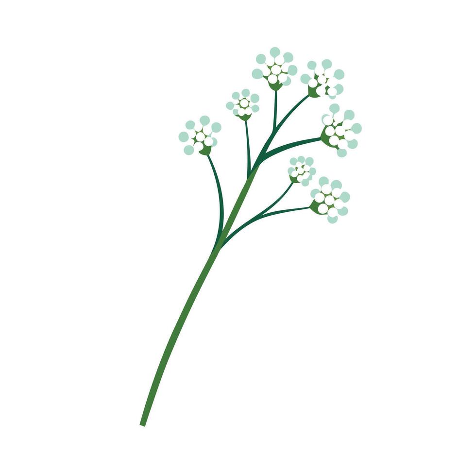 Beautiful Flower Minimalist Floral Illustration vector