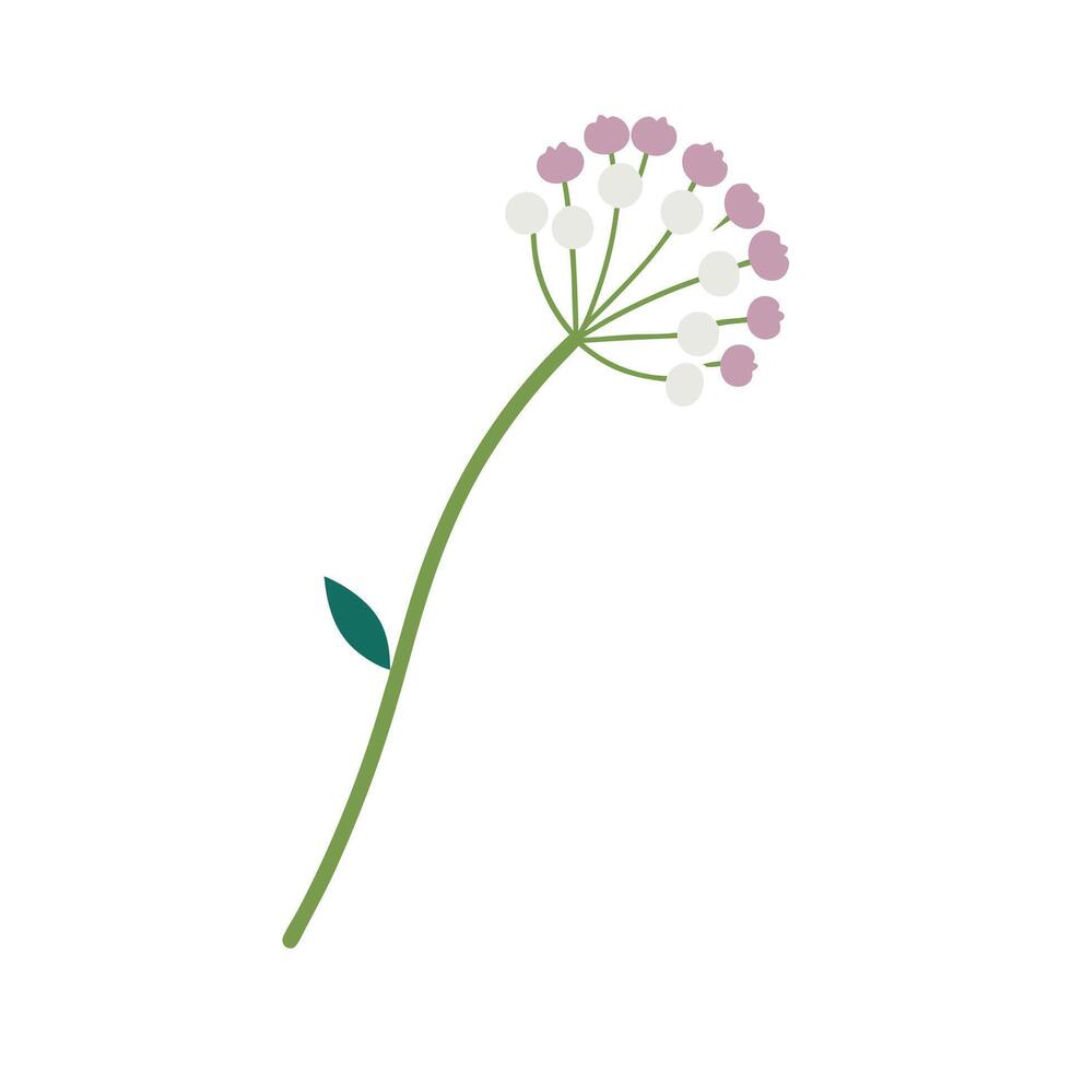 Beautiful Flower Minimalist Floral Illustration vector