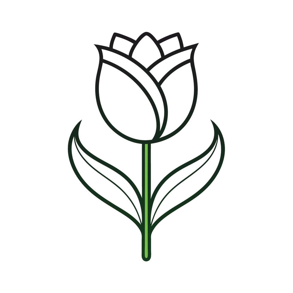 Beautiful Flower Minimalist Floral Illustration vector