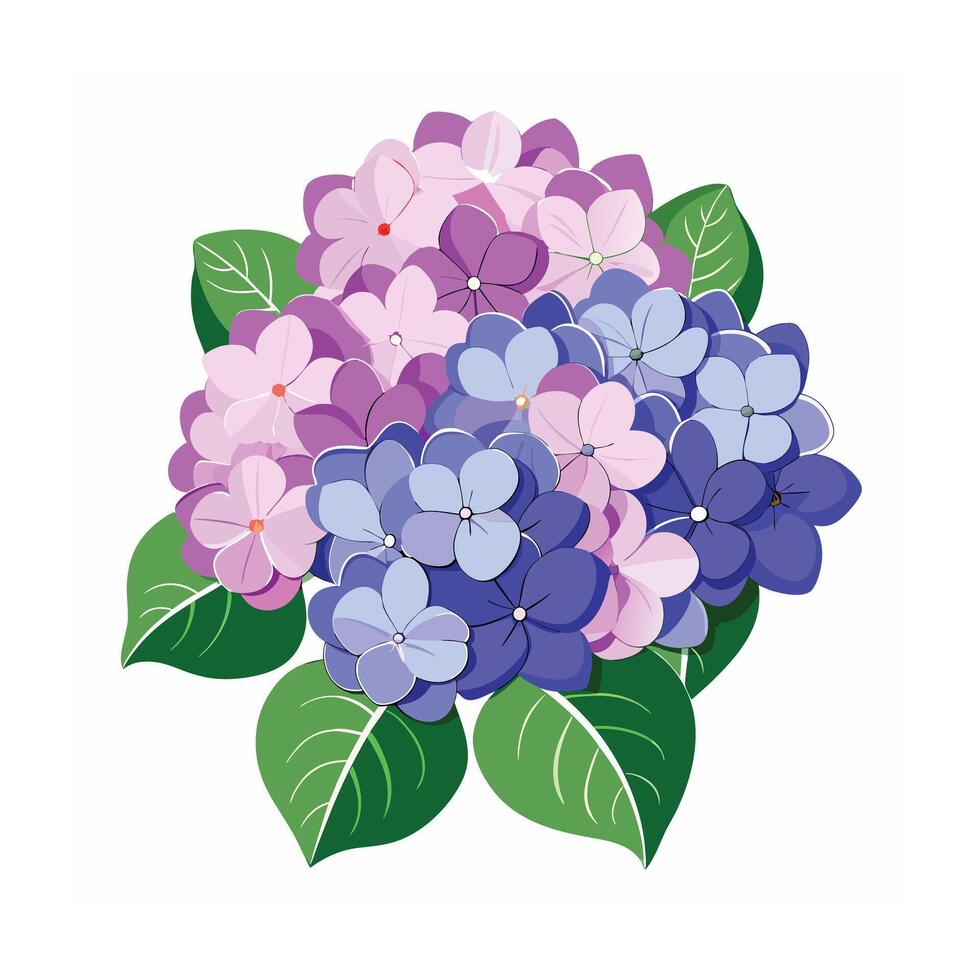 Beautiful Flower Minimalist Floral Illustration vector