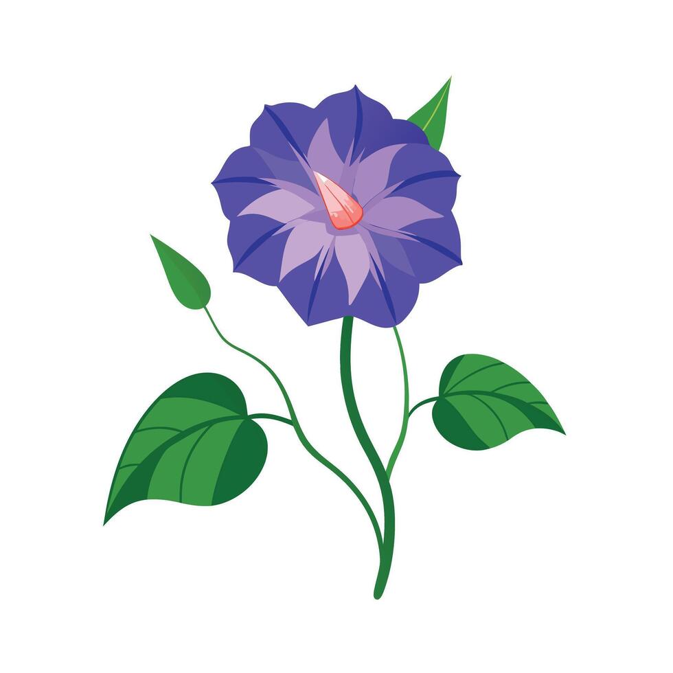 Beautiful Flower Minimalist Floral Illustration vector