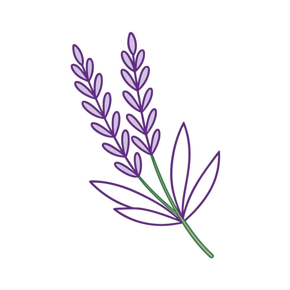 Beautiful Flower Minimalist Floral Illustration vector
