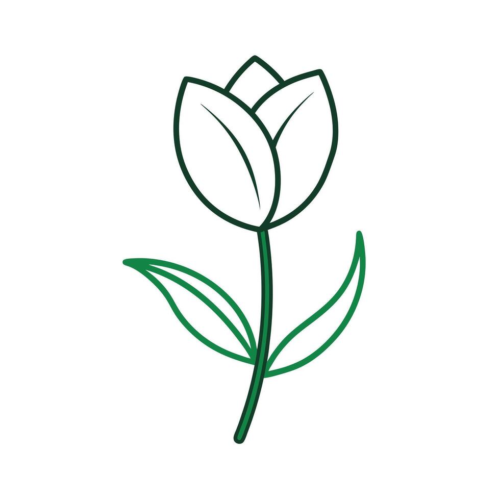 Beautiful Flower Minimalist Floral Illustration vector