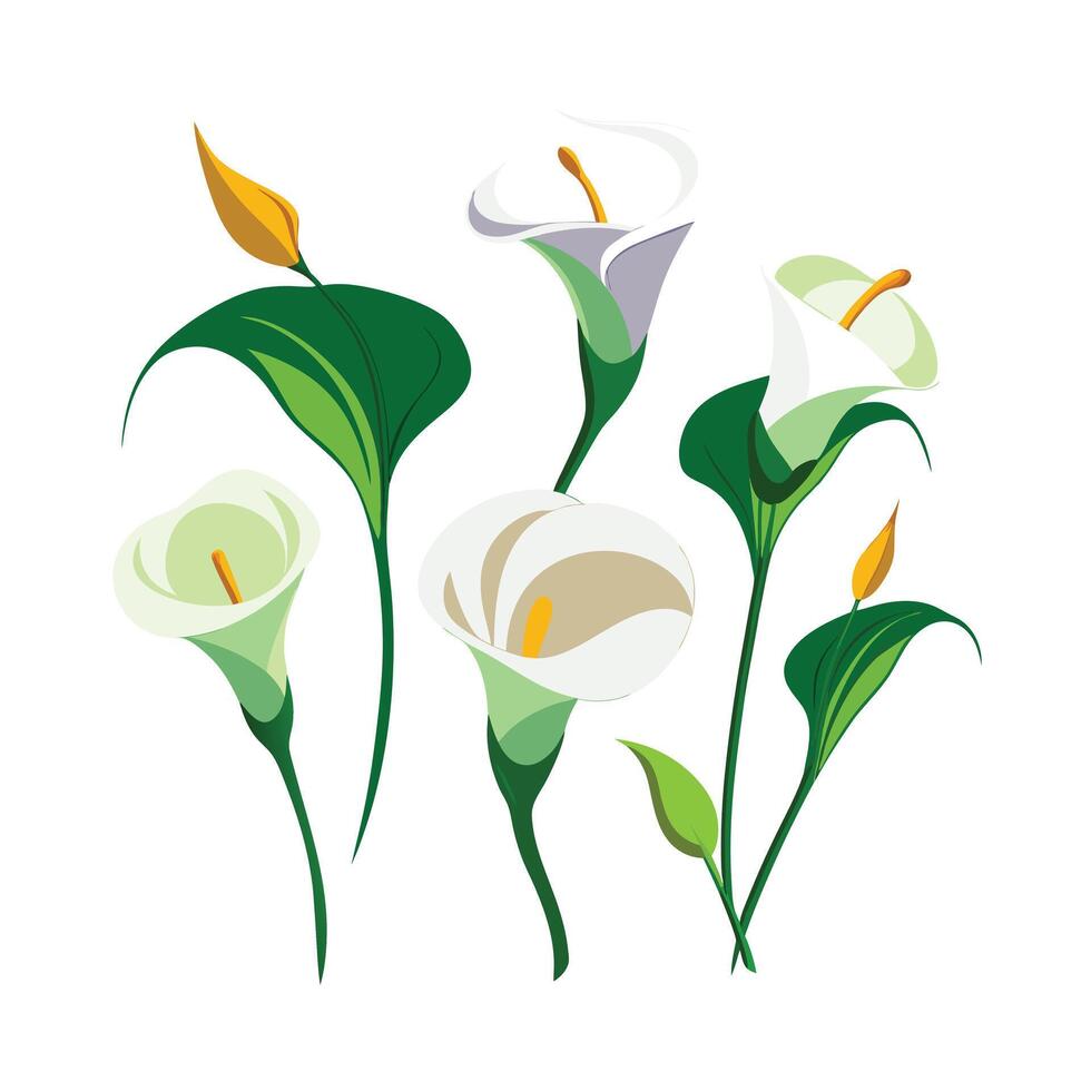 Beautiful Flower Minimalist Floral Illustration vector