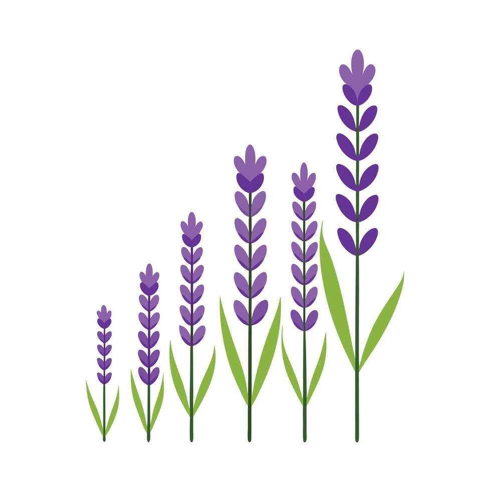 Beautiful Flower Minimalist Floral Illustration vector
