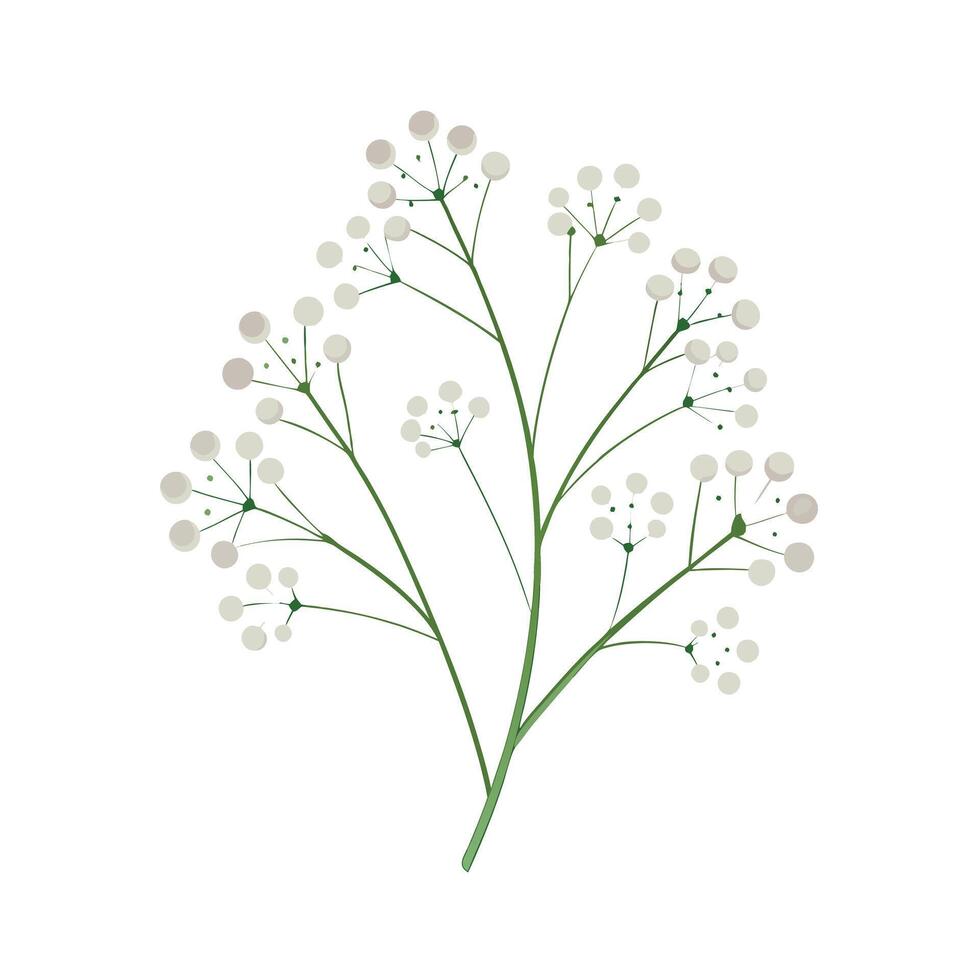 Beautiful Flower Minimalist Floral Illustration vector