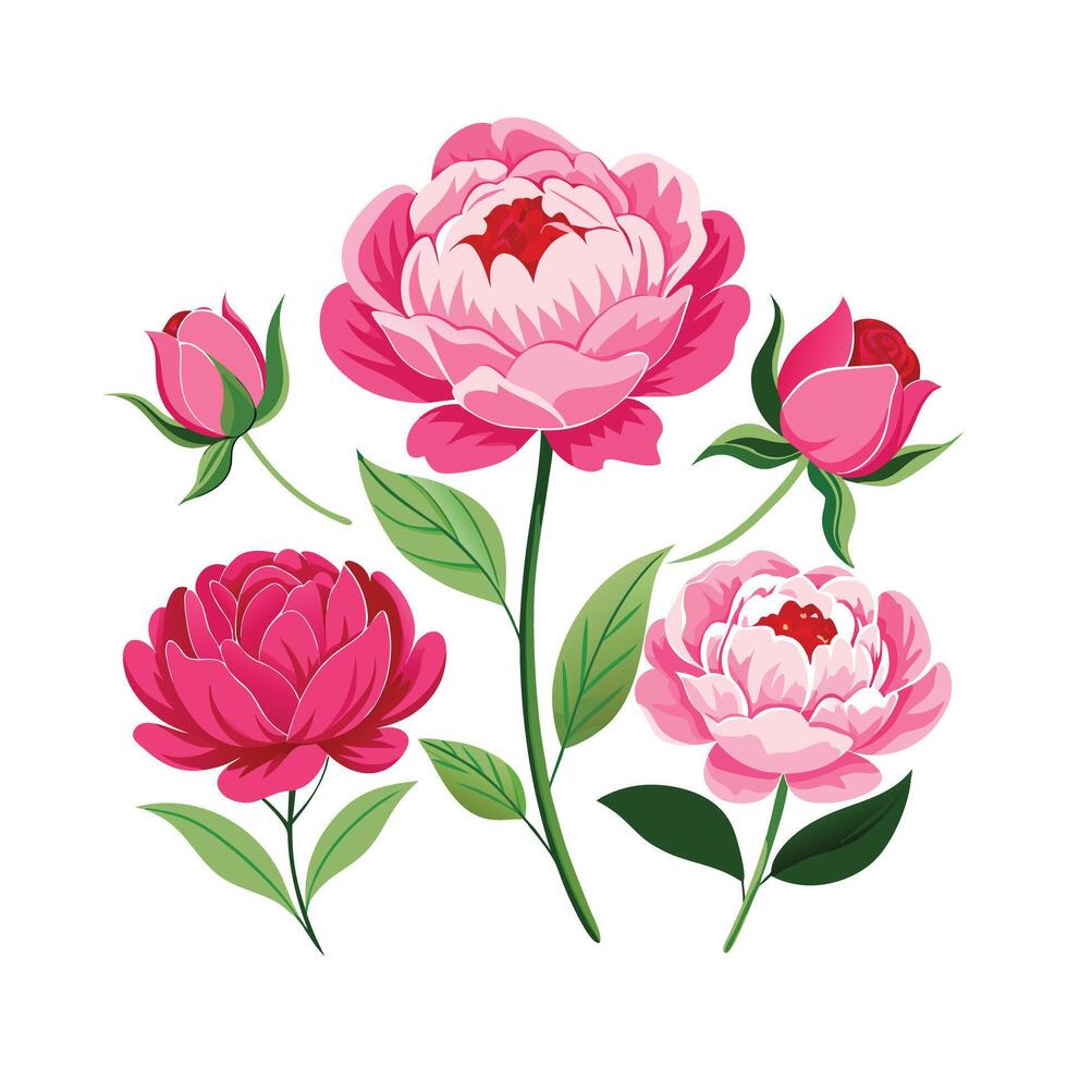 Beautiful Flower Minimalist Floral Illustration vector