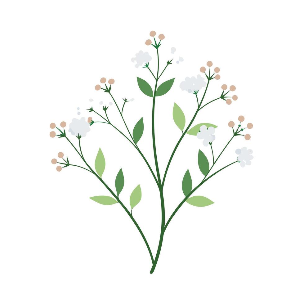 Beautiful Flower Minimalist Floral Illustration vector