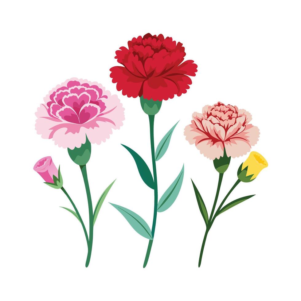Beautiful Flower Minimalist Floral Illustration vector