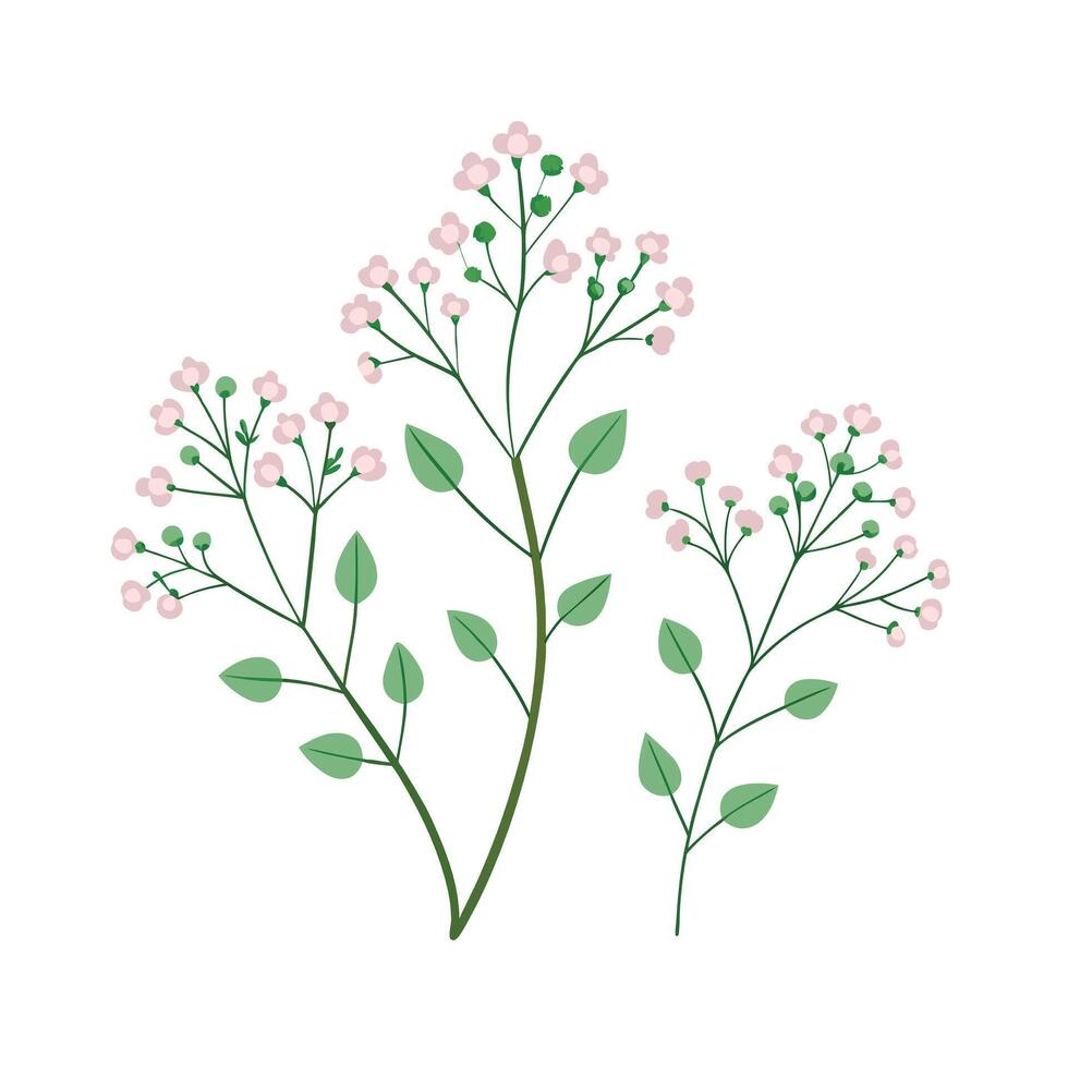 Beautiful Flower Minimalist Floral Illustration vector