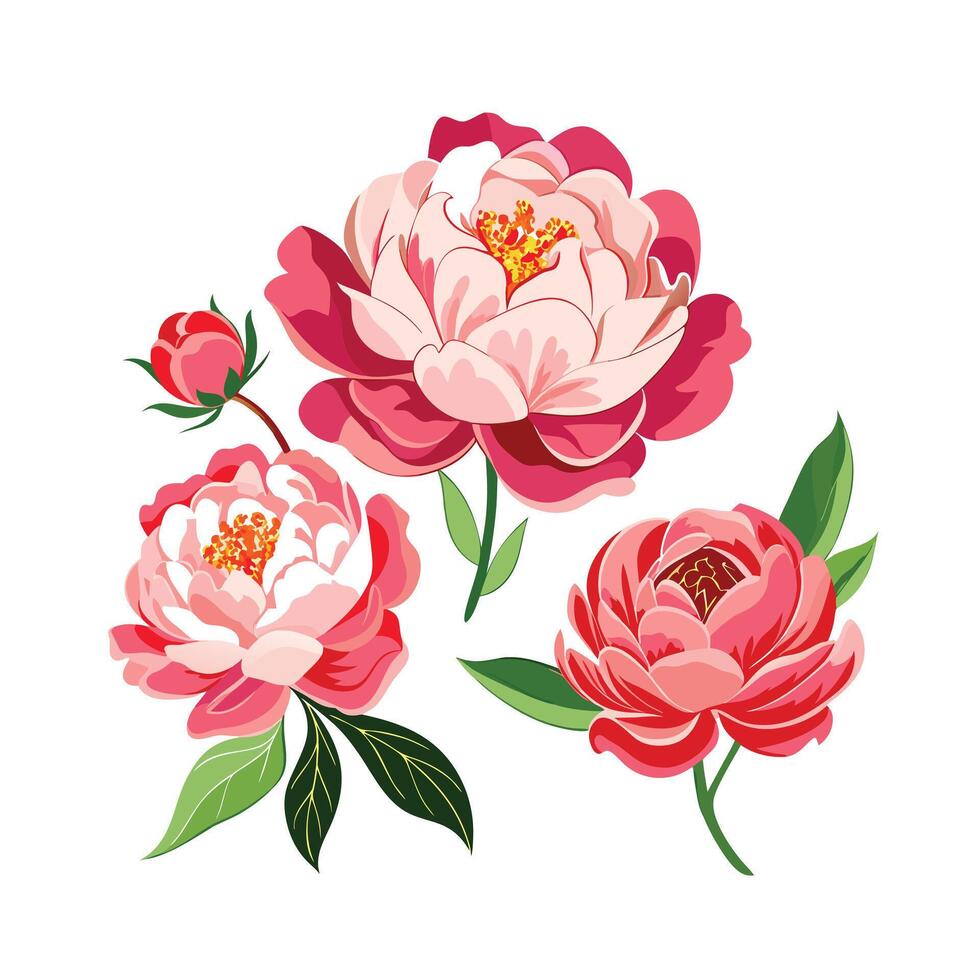 Beautiful Flower Minimalist Floral Illustration vector