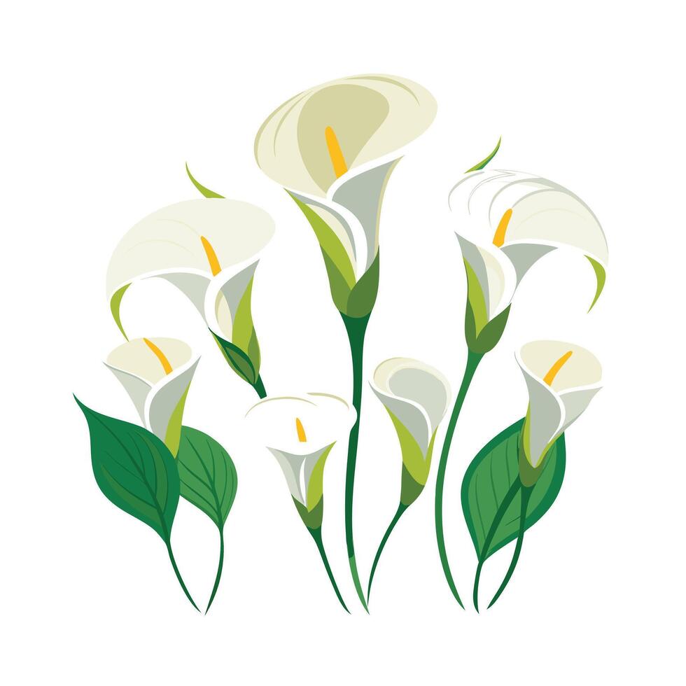 Beautiful Flower Minimalist Floral Illustration vector