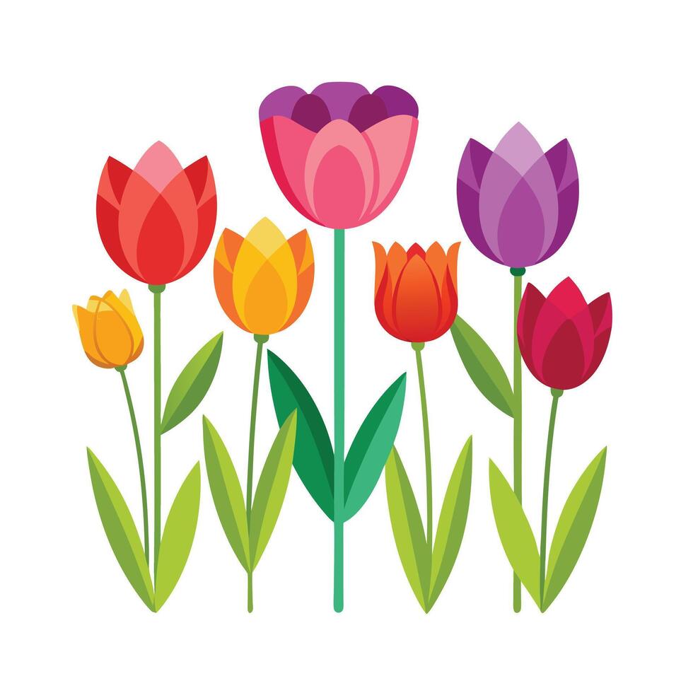 Beautiful Flower Minimalist Floral Illustration vector