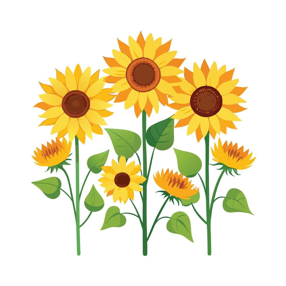 Beautiful Flower Minimalist Floral Illustration vector