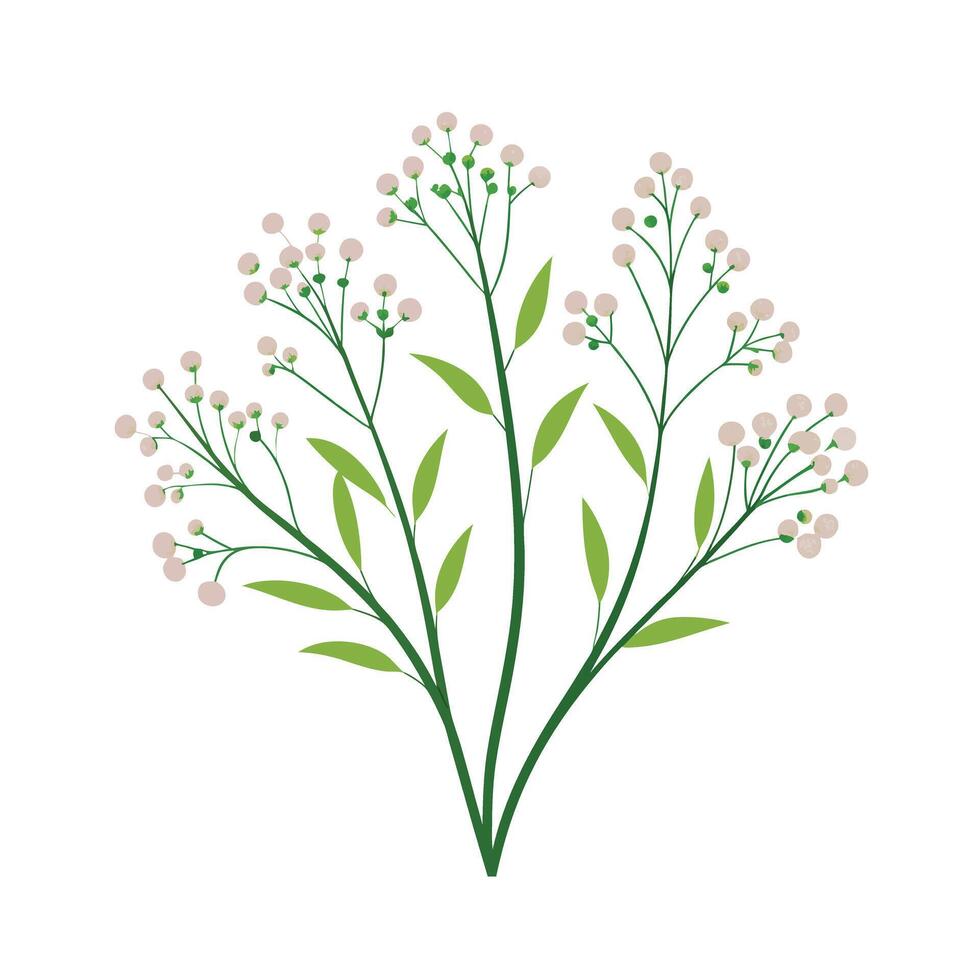 Beautiful Flower Minimalist Floral Illustration vector