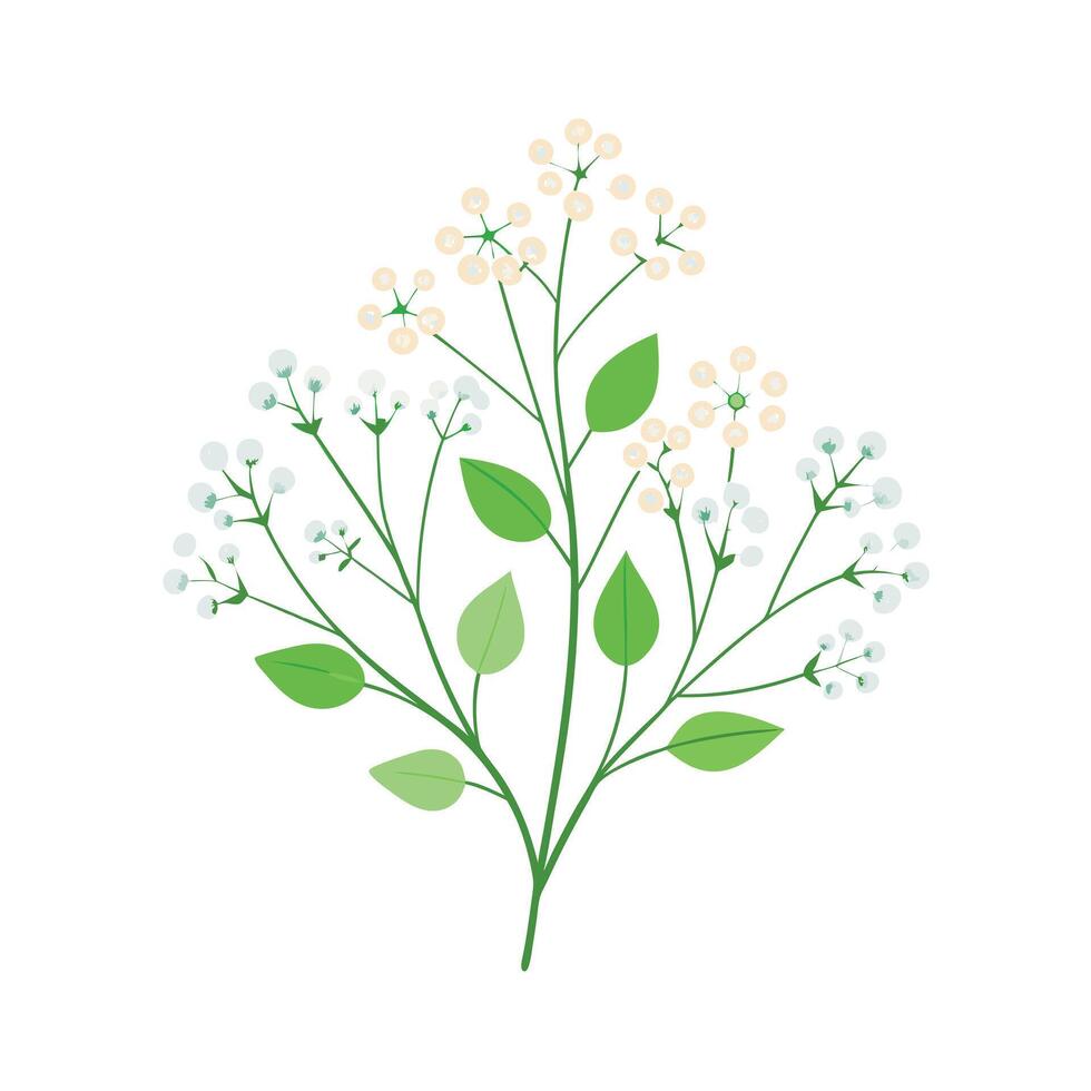 Beautiful Flower Minimalist Floral Illustration vector
