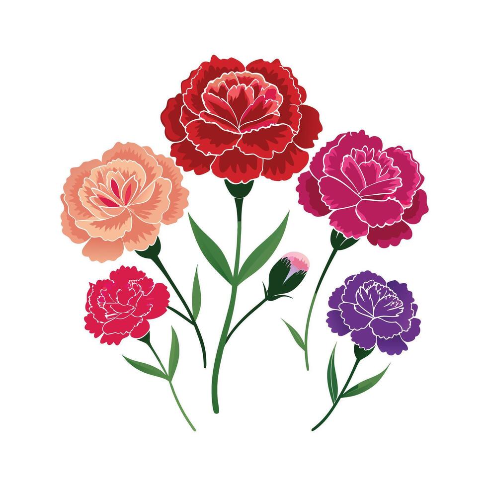 Beautiful Flower Minimalist Floral Illustration vector