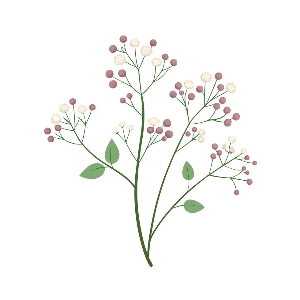 Beautiful Flower Minimalist Floral Illustration vector