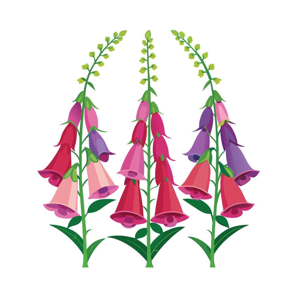 Beautiful Flower Minimalist Floral Illustration vector