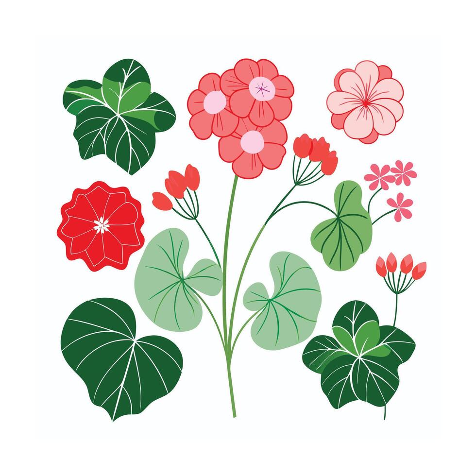 Beautiful Flower Minimalist Floral Illustration vector