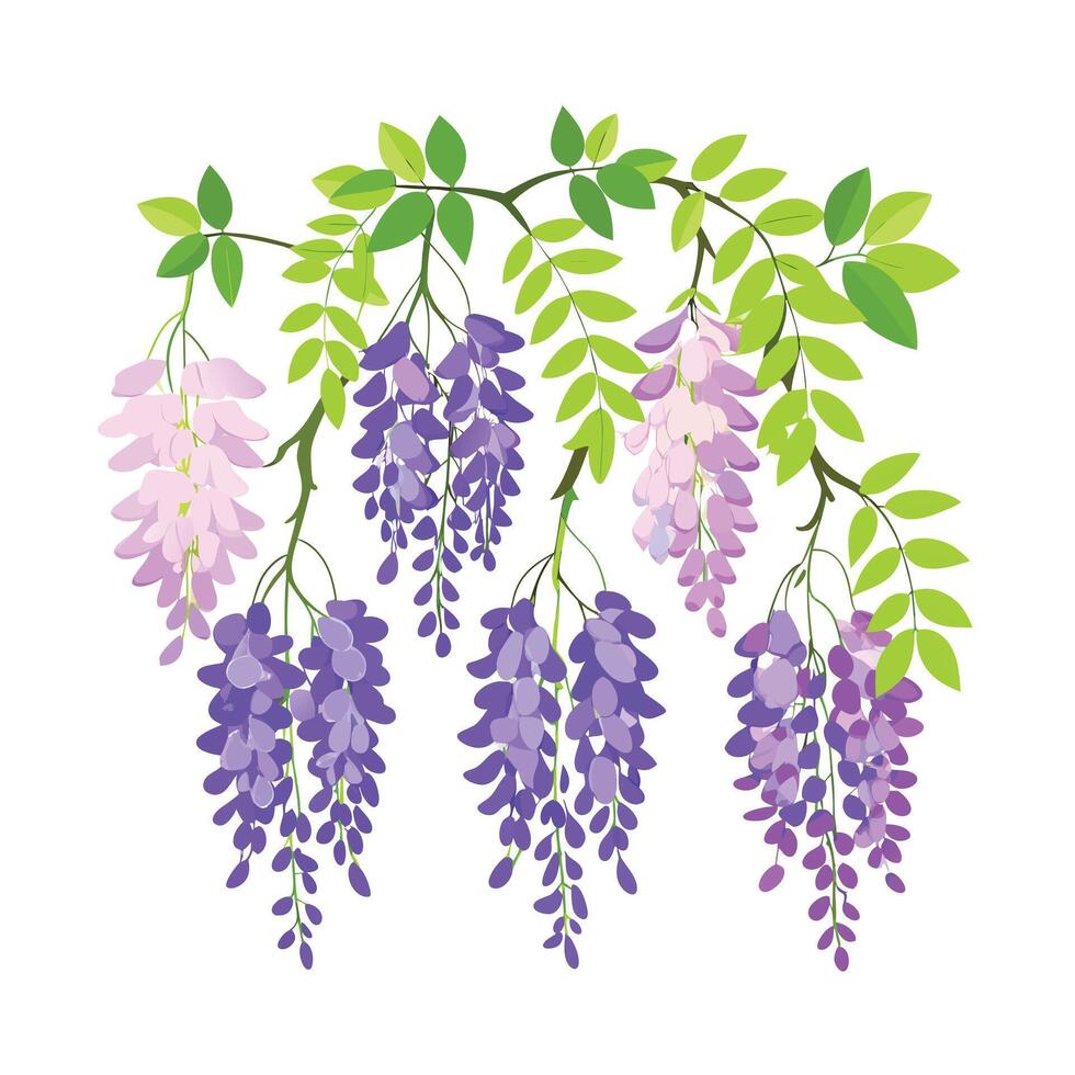 Beautiful Flower Minimalist Floral Illustration vector