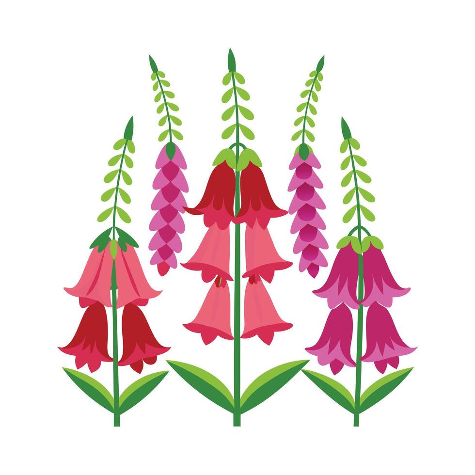 Beautiful Flower Minimalist Floral Illustration vector