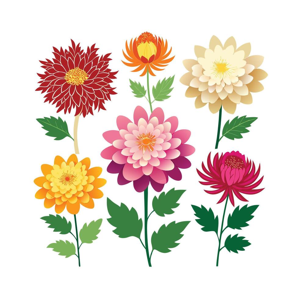 Beautiful Flower Minimalist Floral Illustration vector