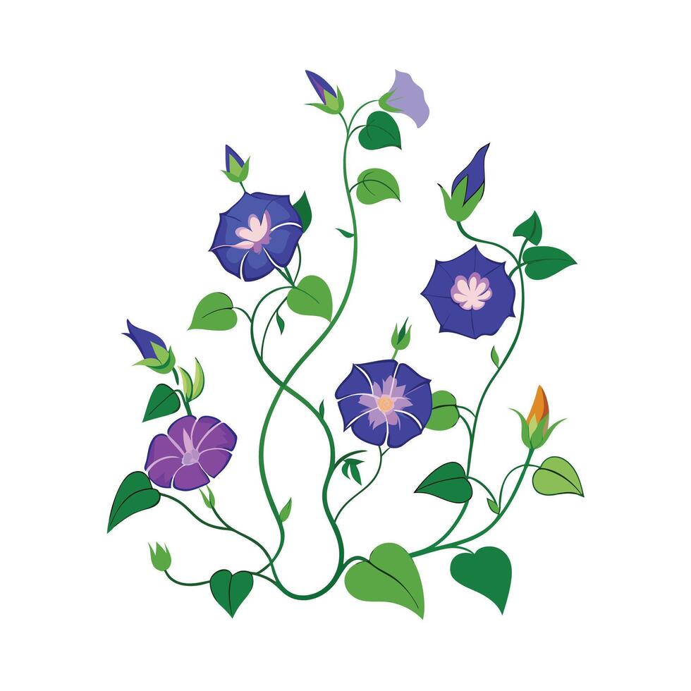 Beautiful Flower Minimalist Floral Illustration vector