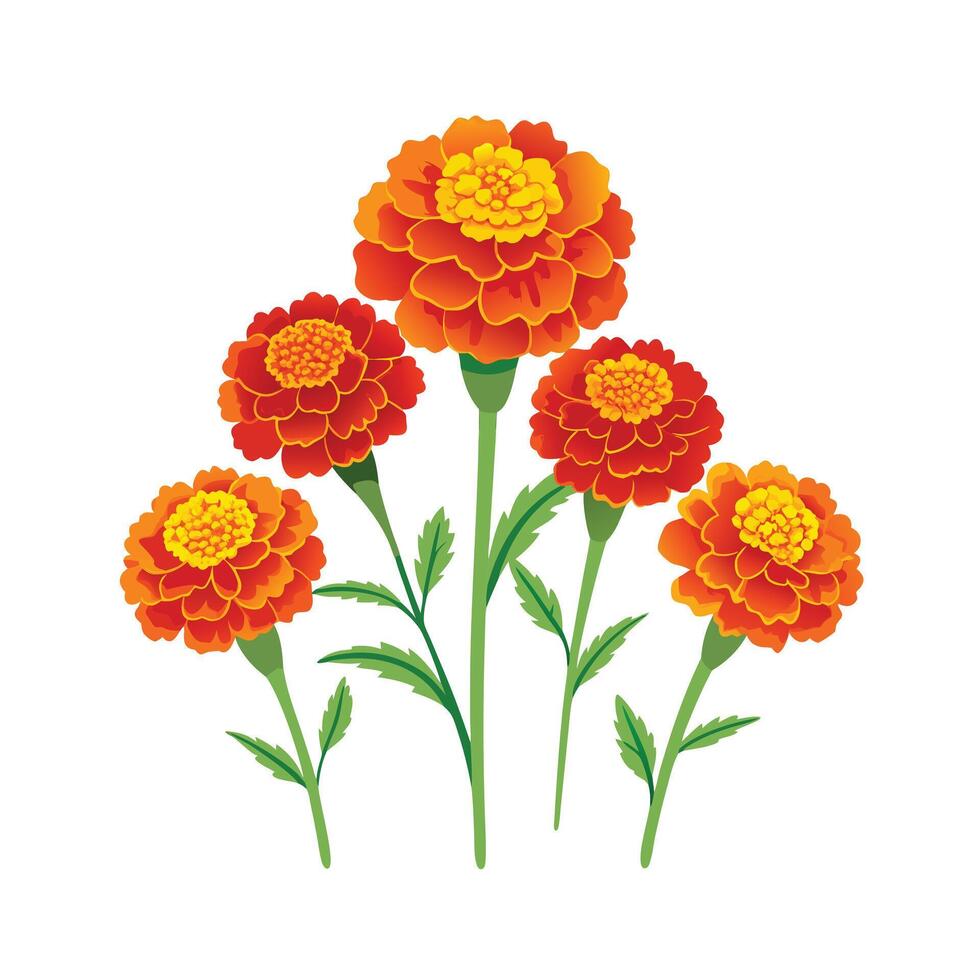 Beautiful Flower Minimalist Floral Illustration vector