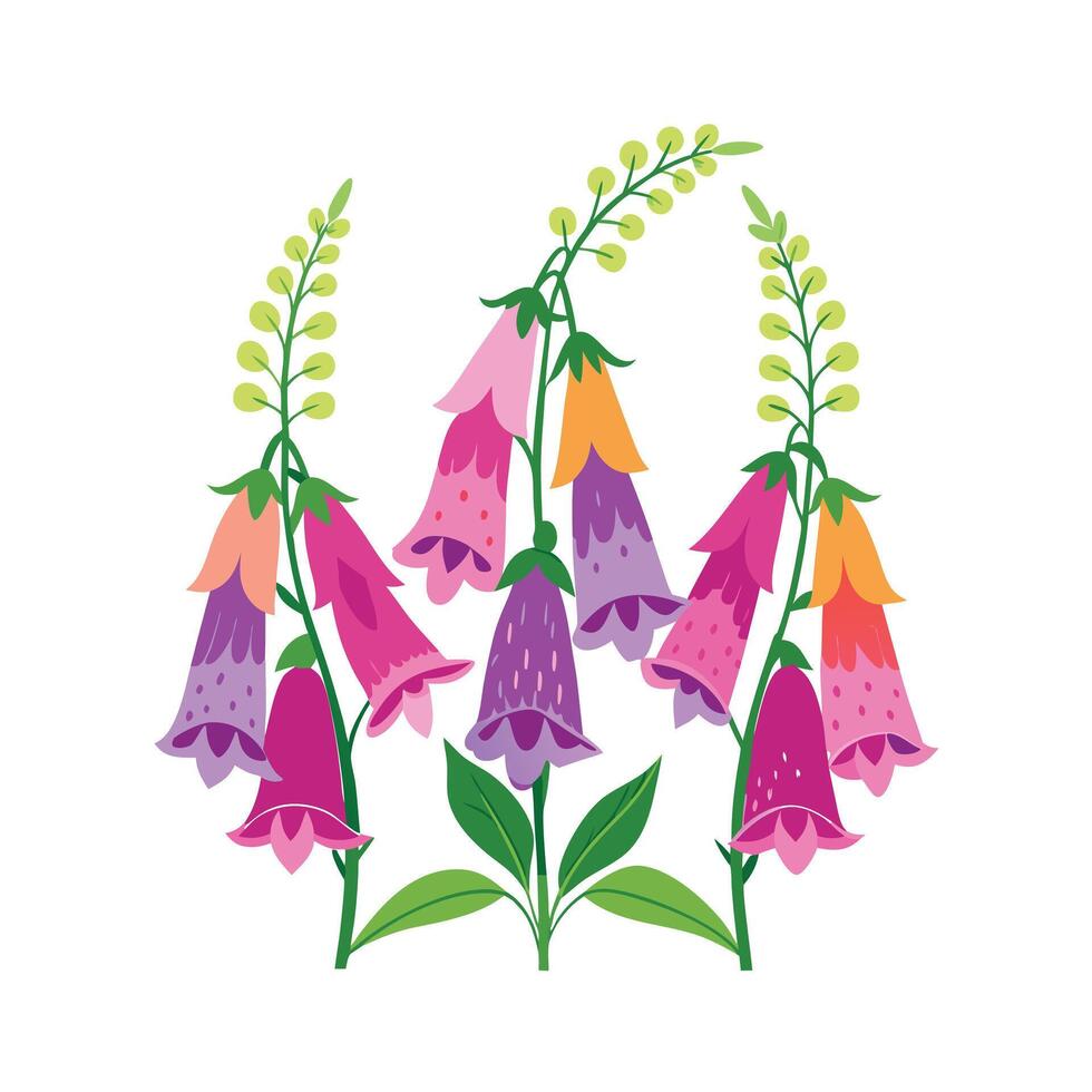 Beautiful Flower Minimalist Floral Illustration vector