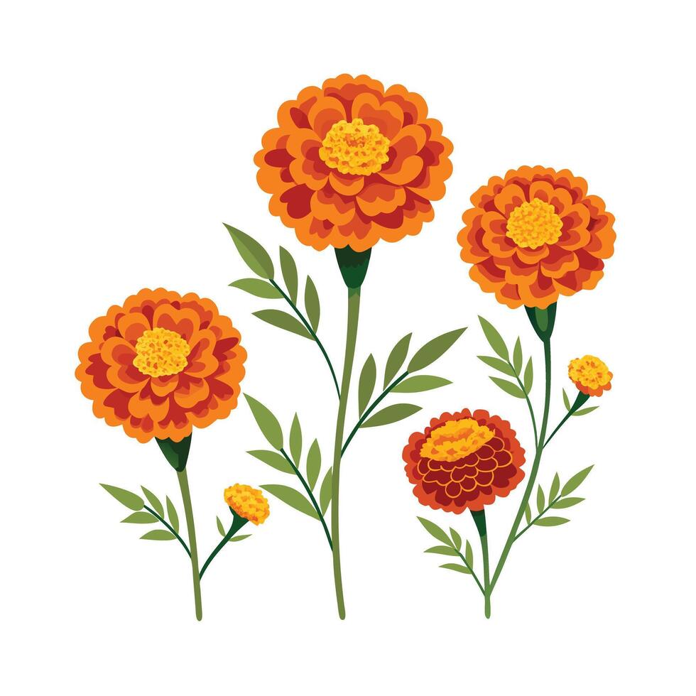 Beautiful Flower Minimalist Floral Illustration vector