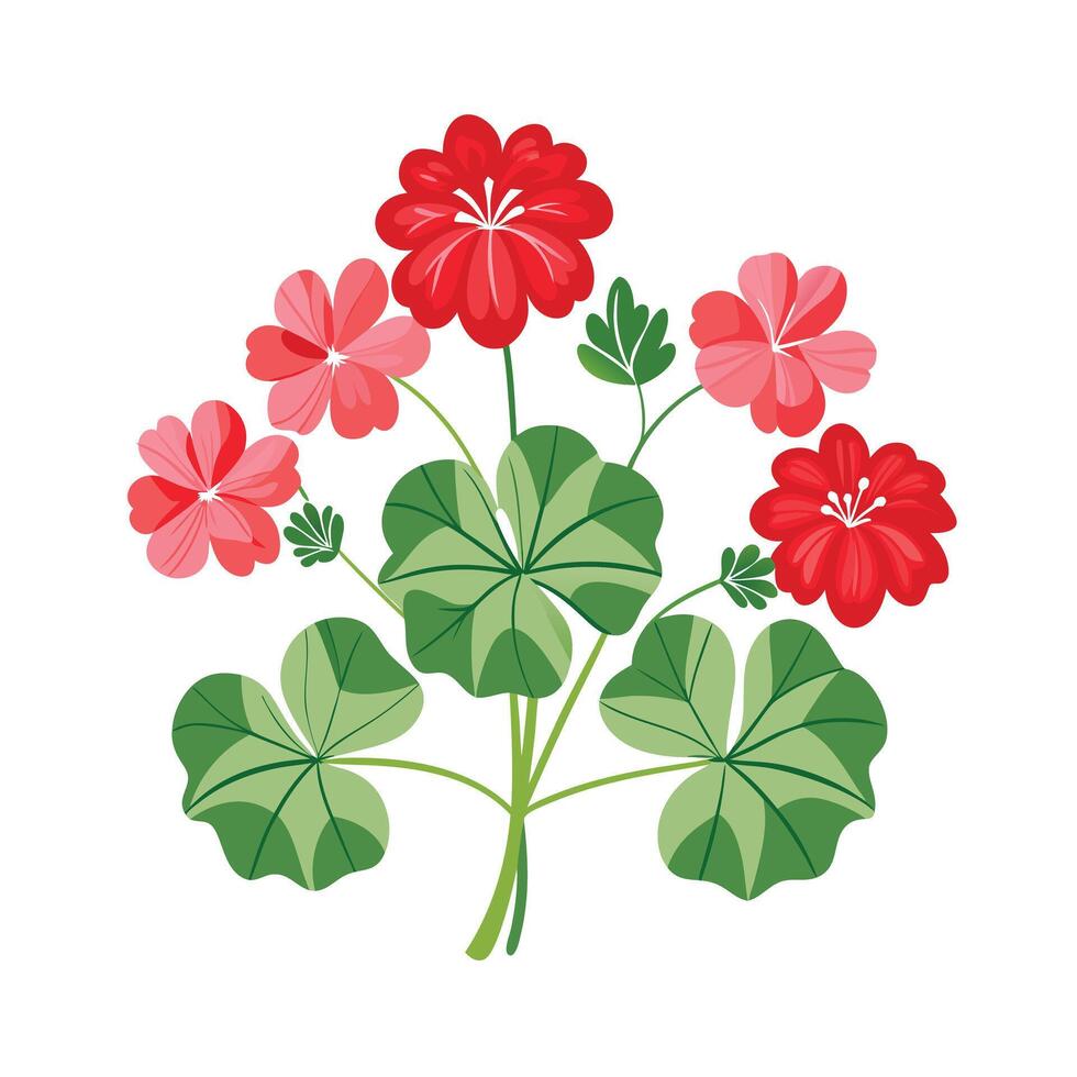 Beautiful Flower Minimalist Floral Illustration vector
