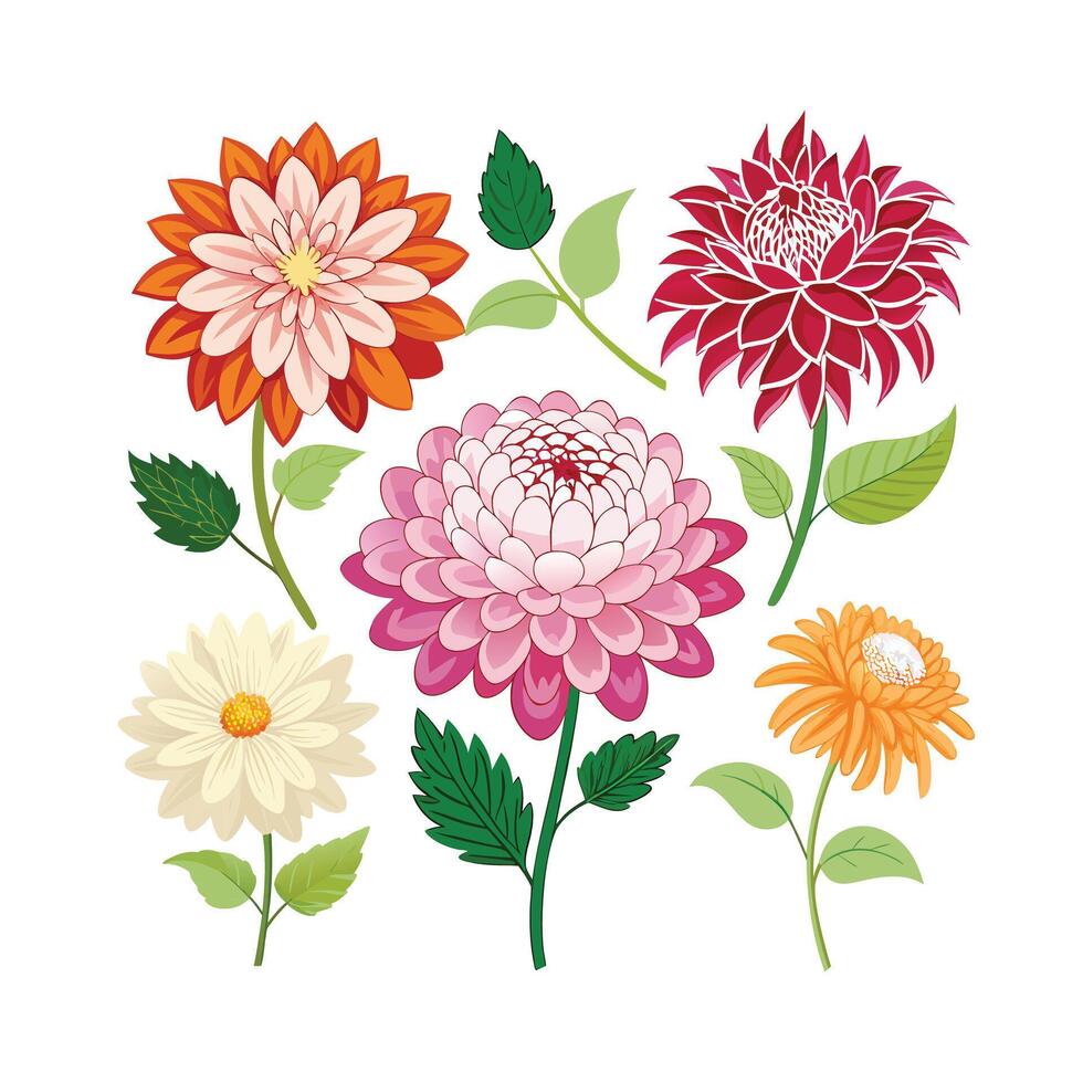 Beautiful Flower Minimalist Floral Illustration vector