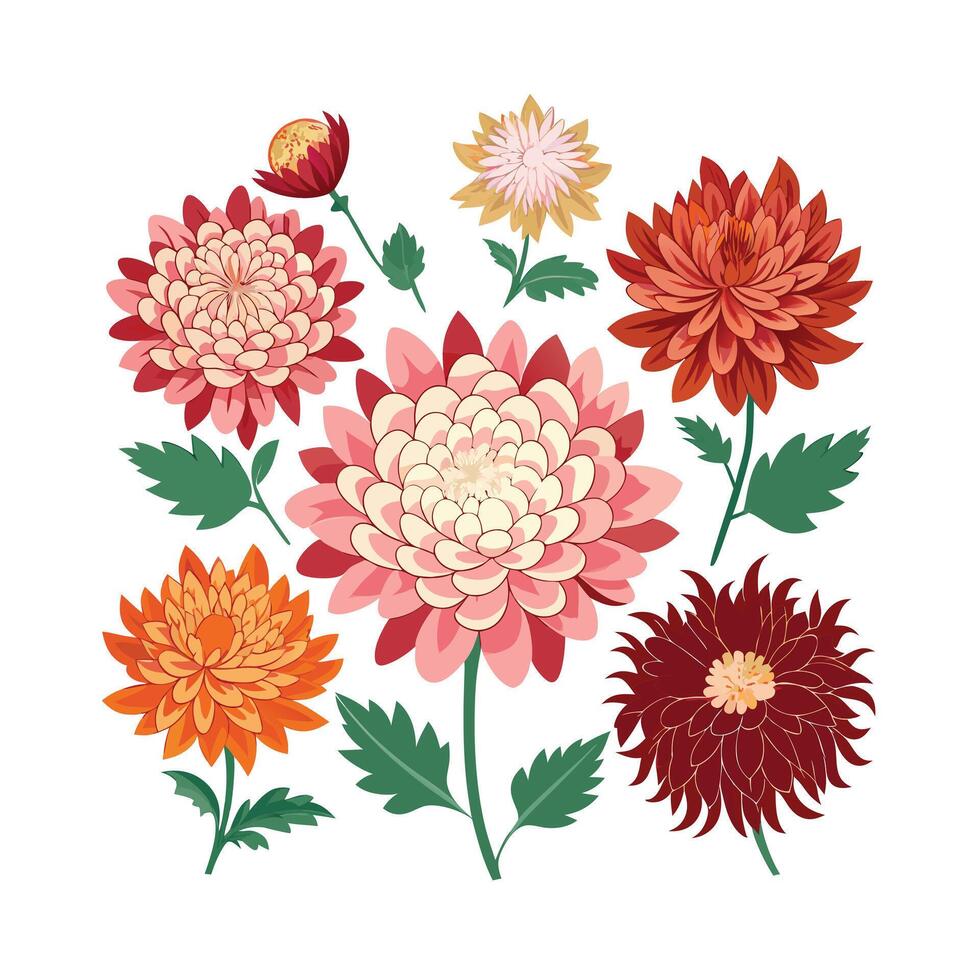 Beautiful Flower Minimalist Floral Illustration vector