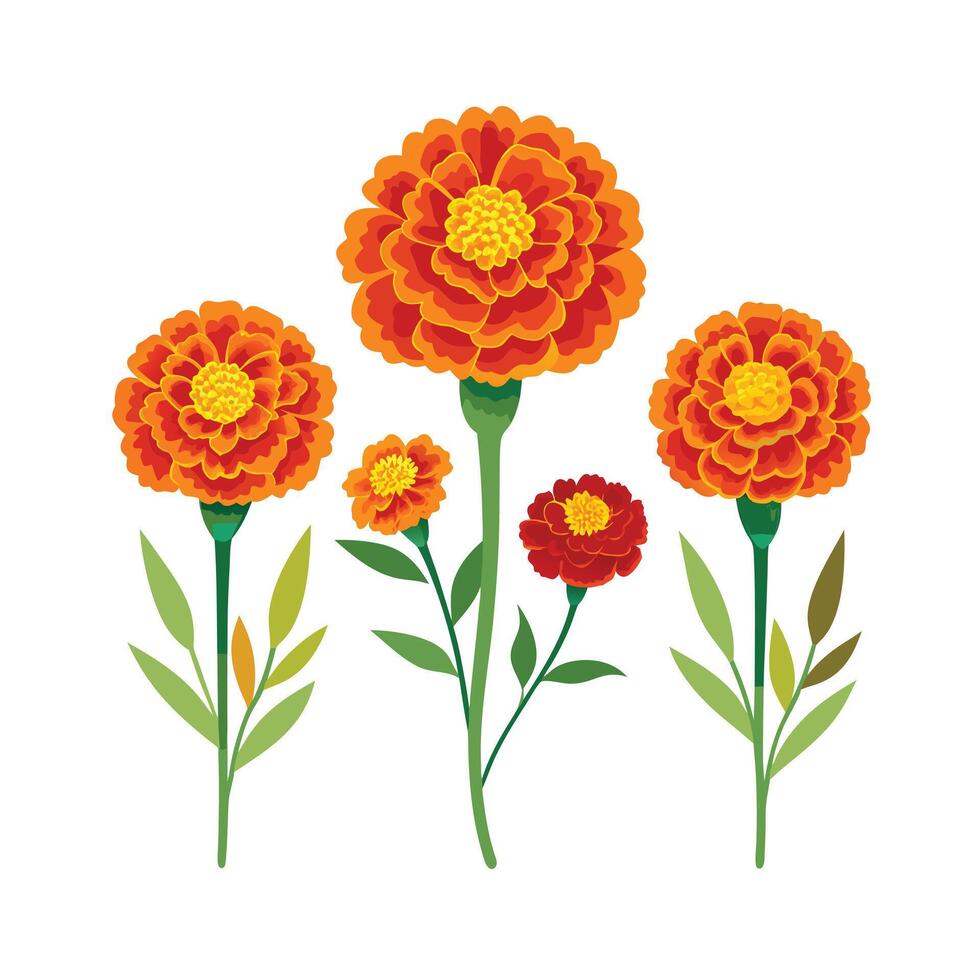 Beautiful Flower Minimalist Floral Illustration vector