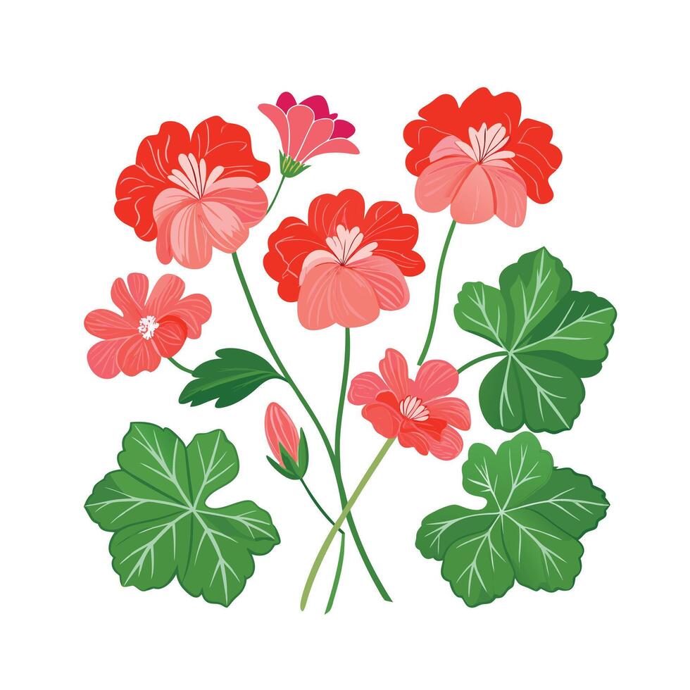 Beautiful Flower Minimalist Floral Illustration vector