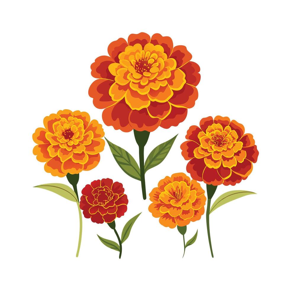 Beautiful Flower Minimalist Floral Illustration vector