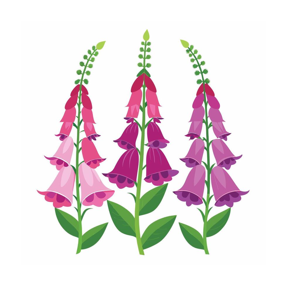 Beautiful Flower Minimalist Floral Illustration vector